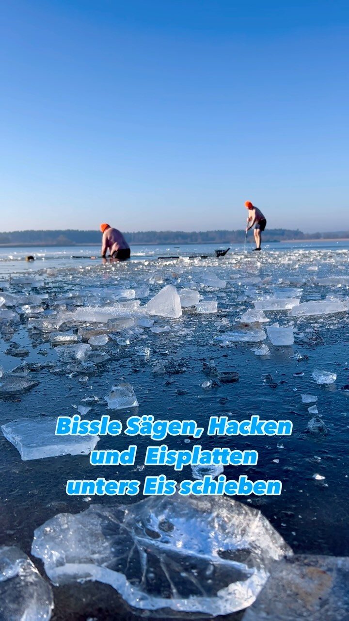 Instagram post from eisbaden.bayern. This post is in position 21.